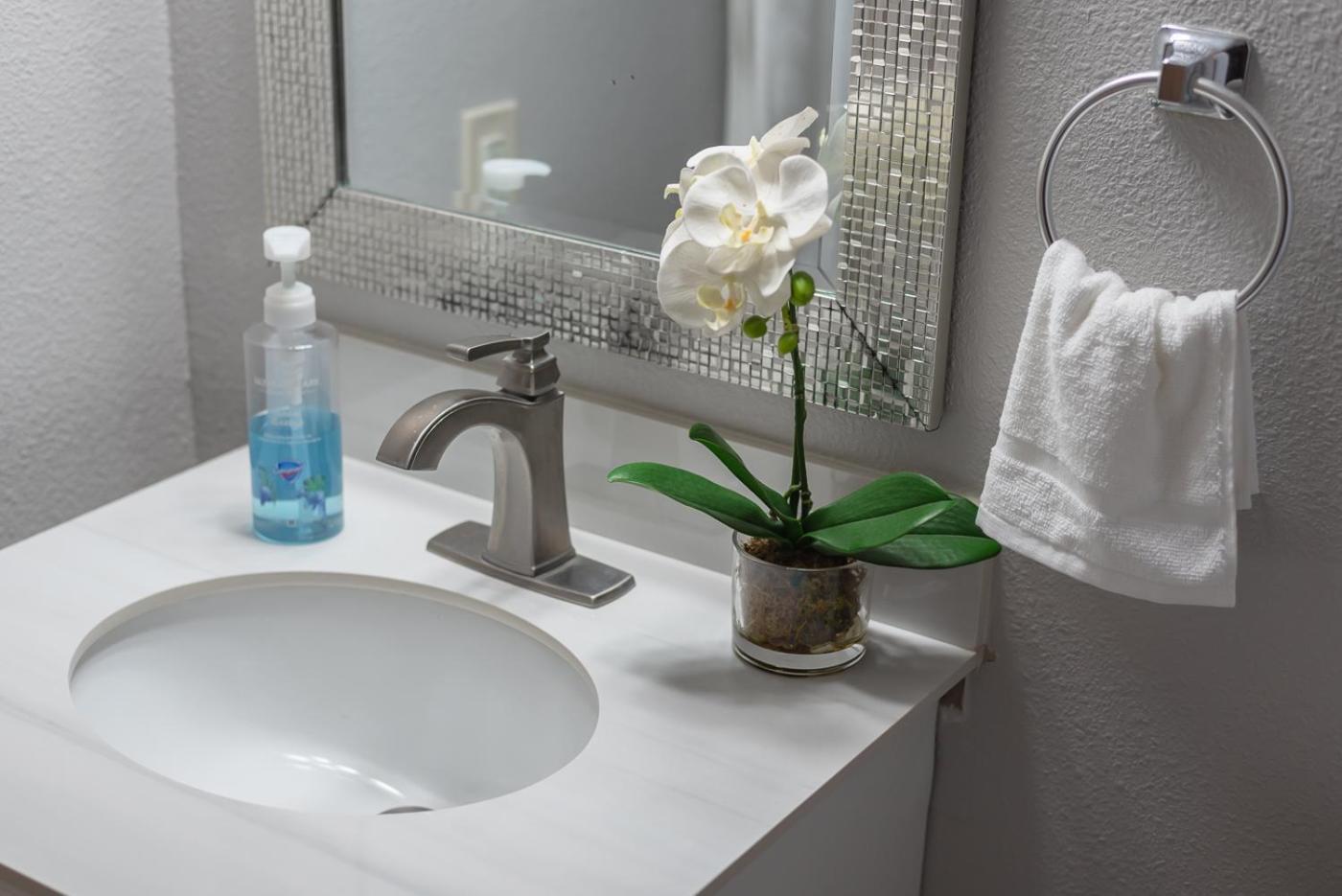 סן אנטוניו Beautiful Apartment At The Botanical Gardens #1 מראה חיצוני תמונה
