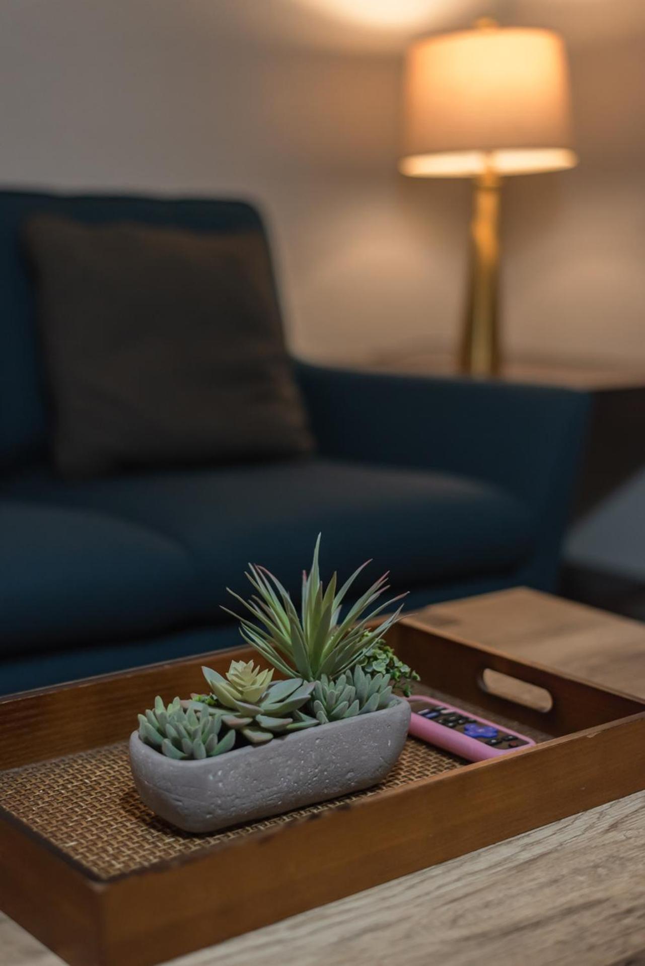 סן אנטוניו Beautiful Apartment At The Botanical Gardens #1 מראה חיצוני תמונה
