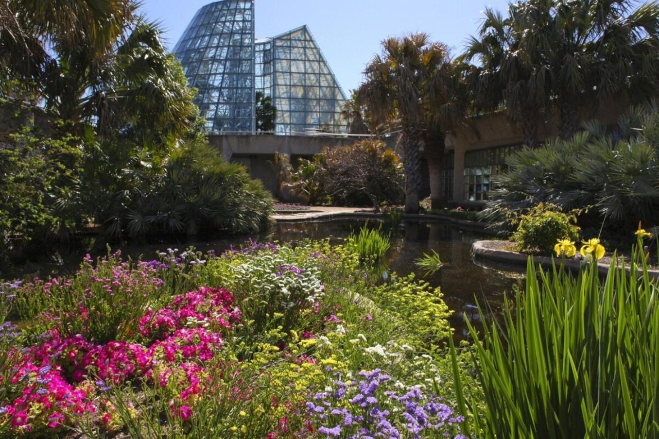 סן אנטוניו Beautiful Apartment At The Botanical Gardens #1 מראה חיצוני תמונה